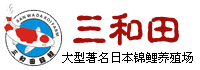 东莞市三和田锦鲤养殖场